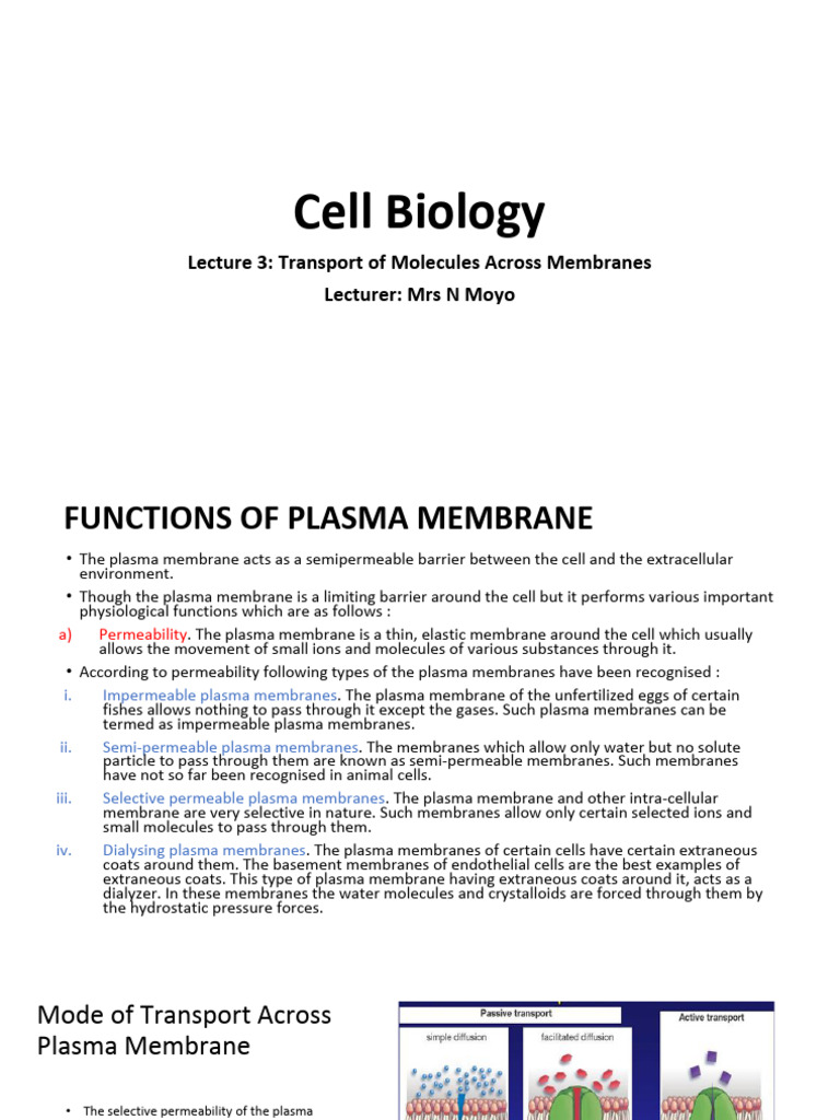 Transport Mechanisms in Cell Membranes | PDF | Cell Membrane ...