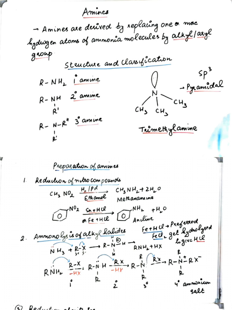 AMINES CLASS 12TH | PDF | Chemical Substances | Carbon Compounds