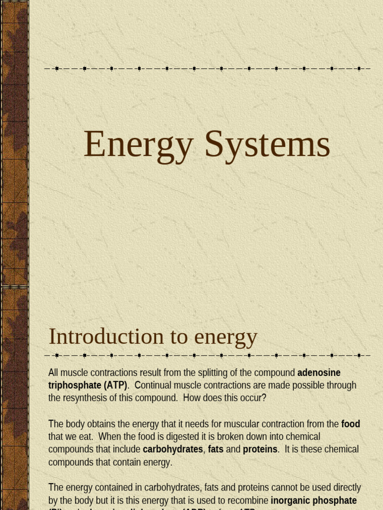 Understanding Energy Systems for Muscles | PDF | Cellular Respiration ...