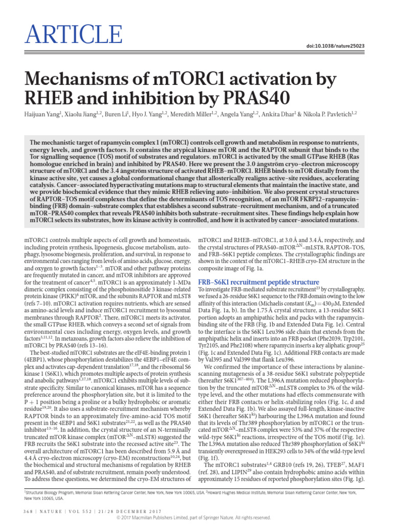 mTORC1 Activation by RHEB and PRAS40 | PDF | Structural Biology ...