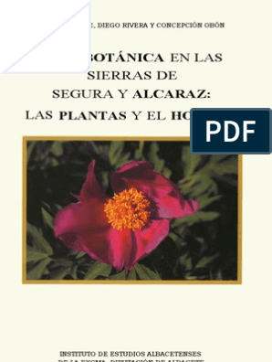 Etnobotanica De Las Sierras De Segura Y Alcaraz 2 Plantas
