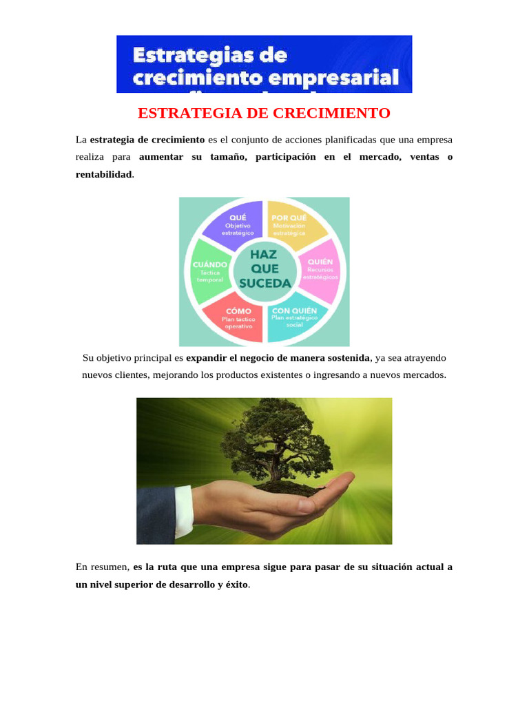 Estrategia de Crecimiento f | PDF | Business | Marketing