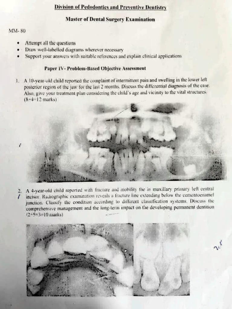 Exam Papers For Chippy | PDF