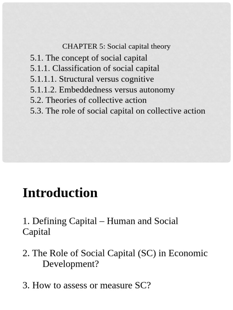 Understanding Social Capital Theory | PDF | Capital (Economics ...