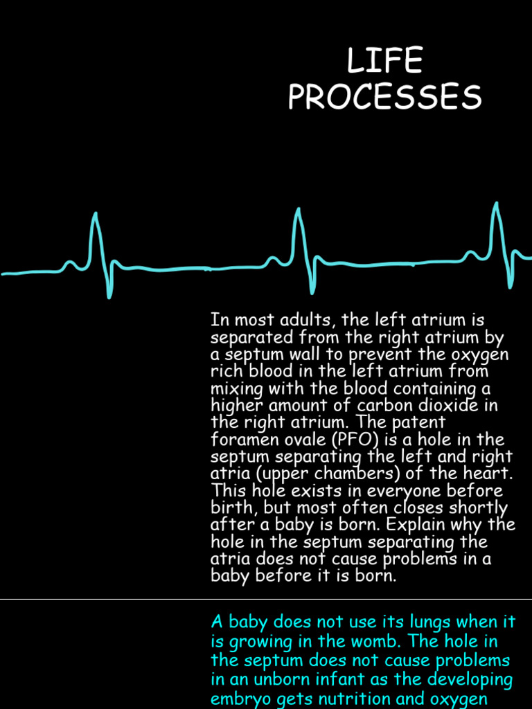 19 JAN __ LIFE PROCESSES __SECOND ROUND REVISION SLIDE (1) | PDF ...