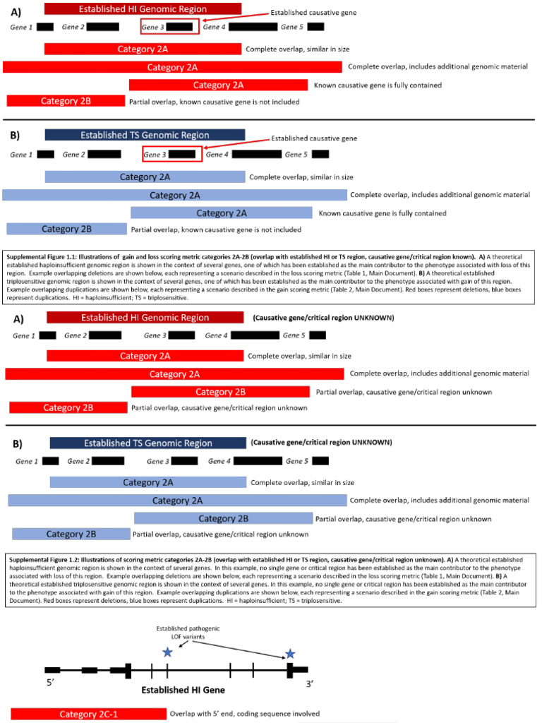 Riggs ACMG Supp | PDF