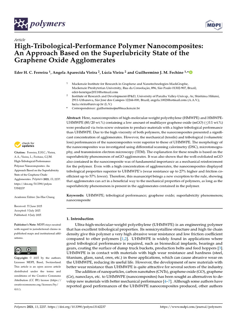 High-Performance Polymer Nanocomposites | PDF | Young's Modulus ...