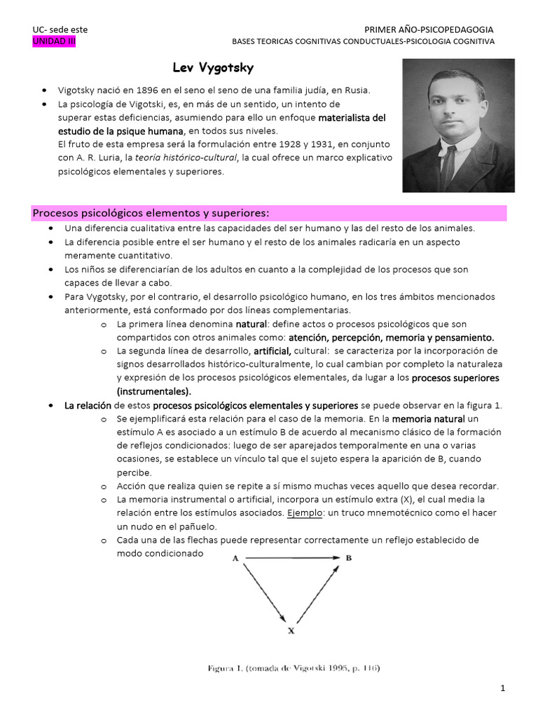 Teoría de Vygotsky en Psicopedagogía | PDF | Sicología | Cognición