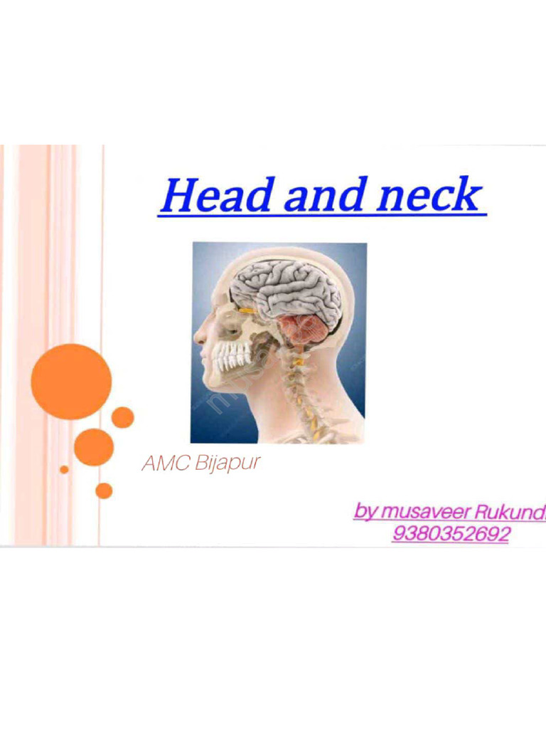 Head and Neck Anatomy Overview | PDF | Human Head And Neck | Human Anatomy