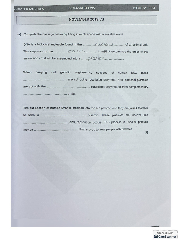 Class Work | PDF
