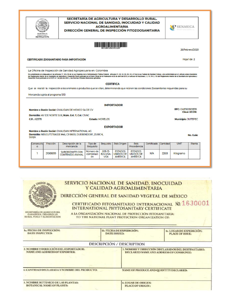 Certifica Dos | PDF