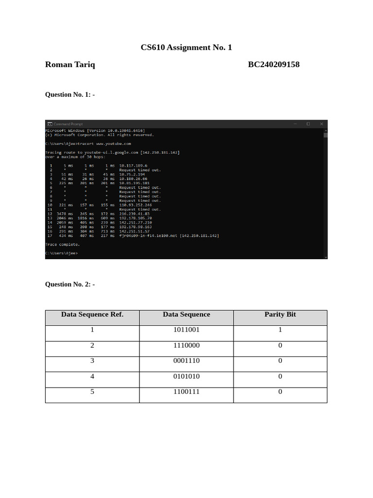 CS610 Assignment BC240209158 | PDF