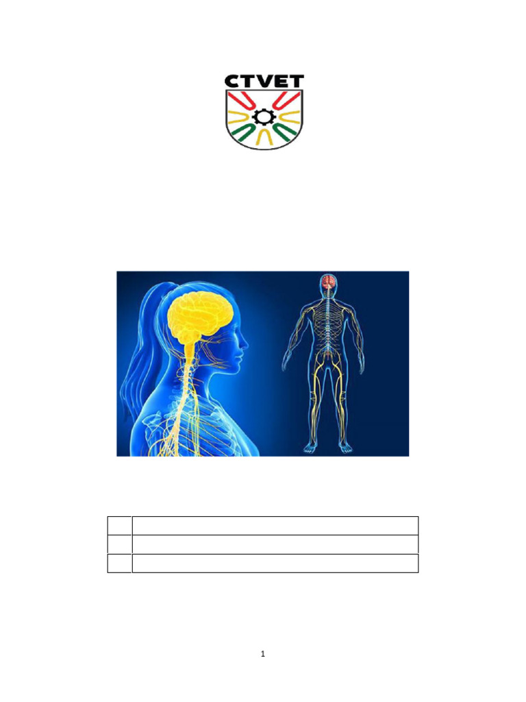 Central Nervous System Learning Guide | PDF | Neuron | Axon
