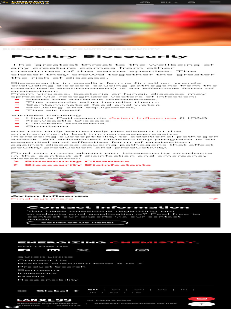 Poultry disinfectants effective chicken biosecurity LANXESS | PDF