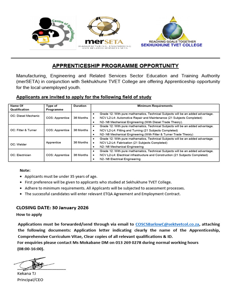 Apprenticeship Opportunities for Youth | PDF | Apprenticeship ...