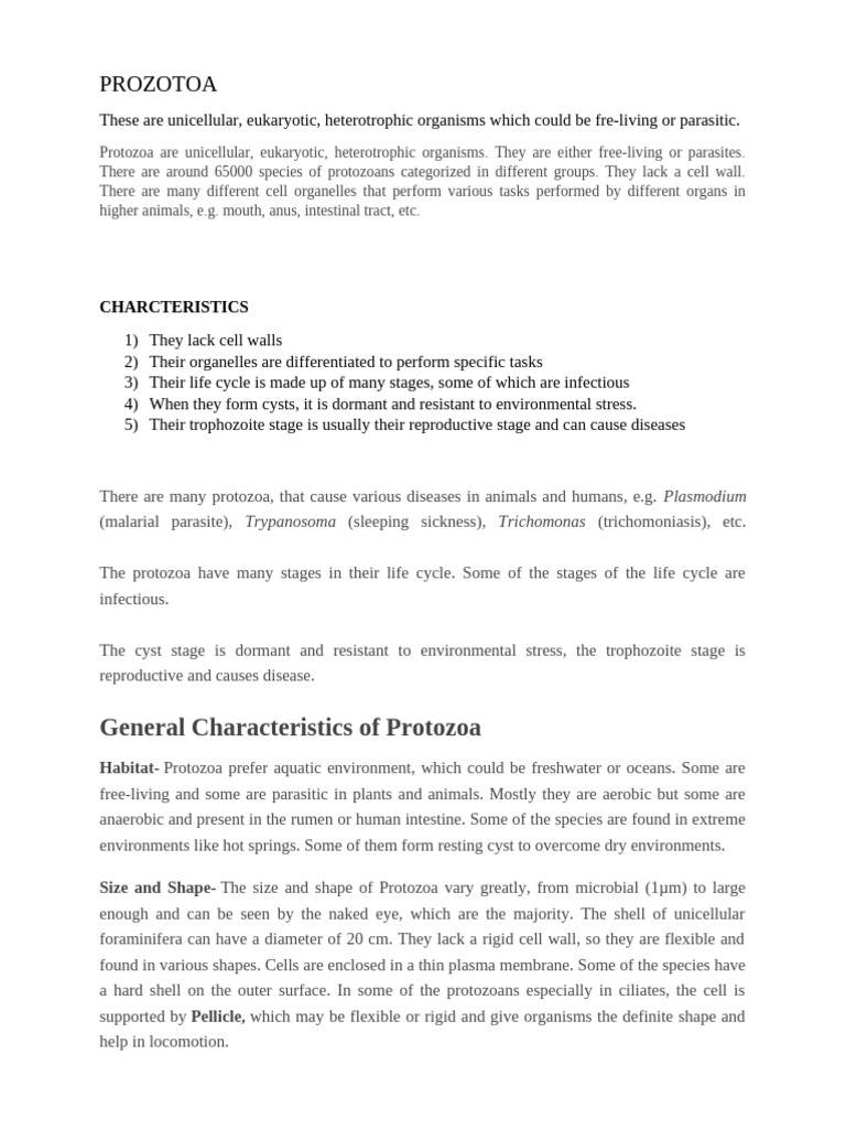 PROZOTOA For Jubep Class | PDF | Protozoa | Cell (Biology)