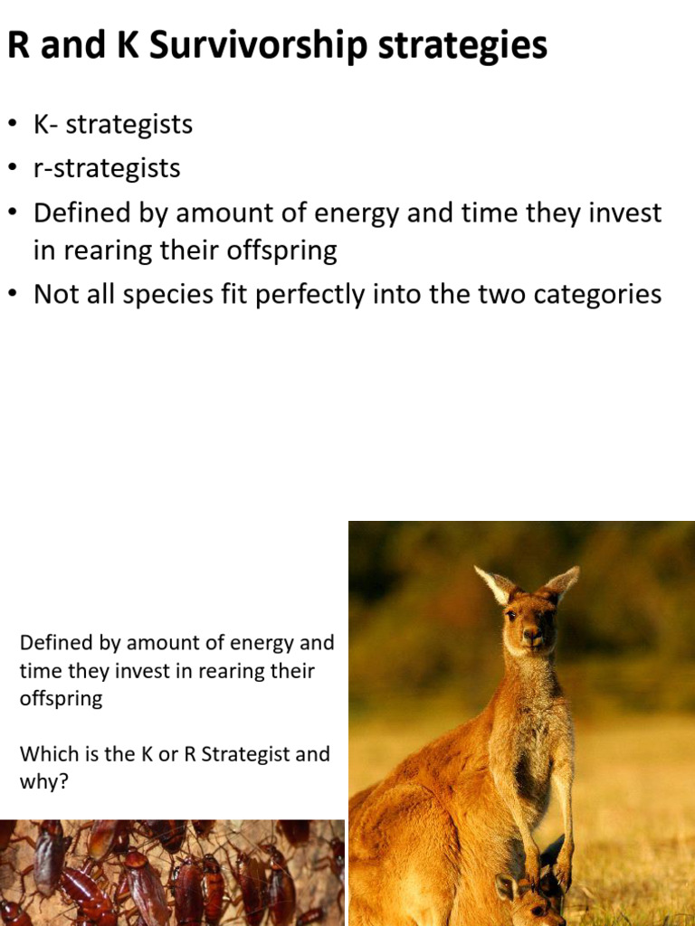 R and K Survivorship Strategies Explained | PDF | Primary Production | Soil