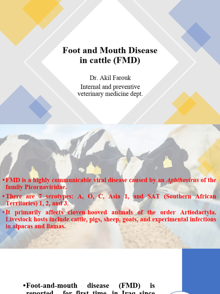 Fmd | PDF | Medical Specialties | Virology
