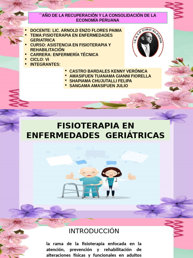 Fisioterapia Geriátrica: Mejora y Autonomía | PDF | Terapia física