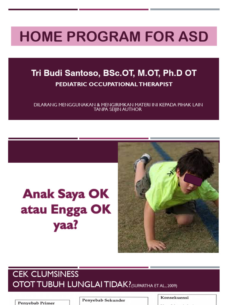 Program Terapi Rumah untuk Anak ASD | PDF