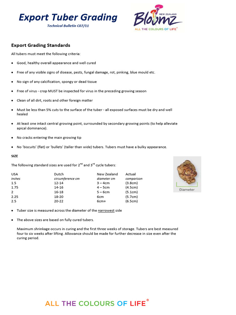 Export Tuber Grading Standards Guide | PDF