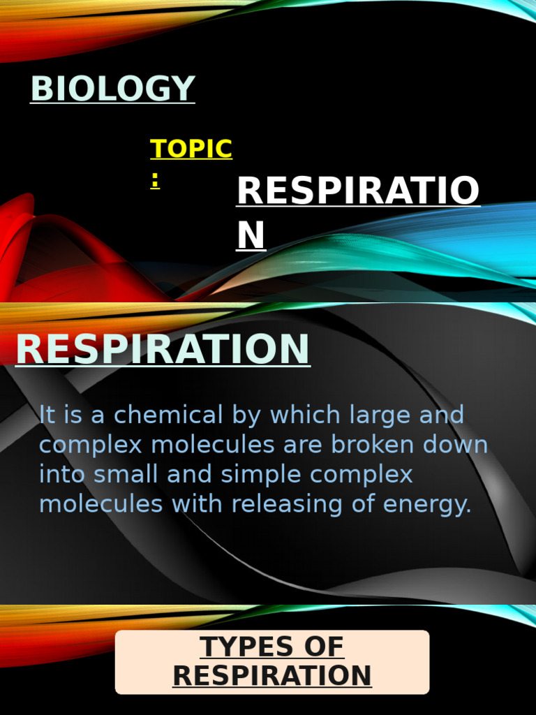 Types of Respiration in Biology | PDF