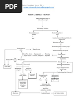 Pathway Demam Thypoid