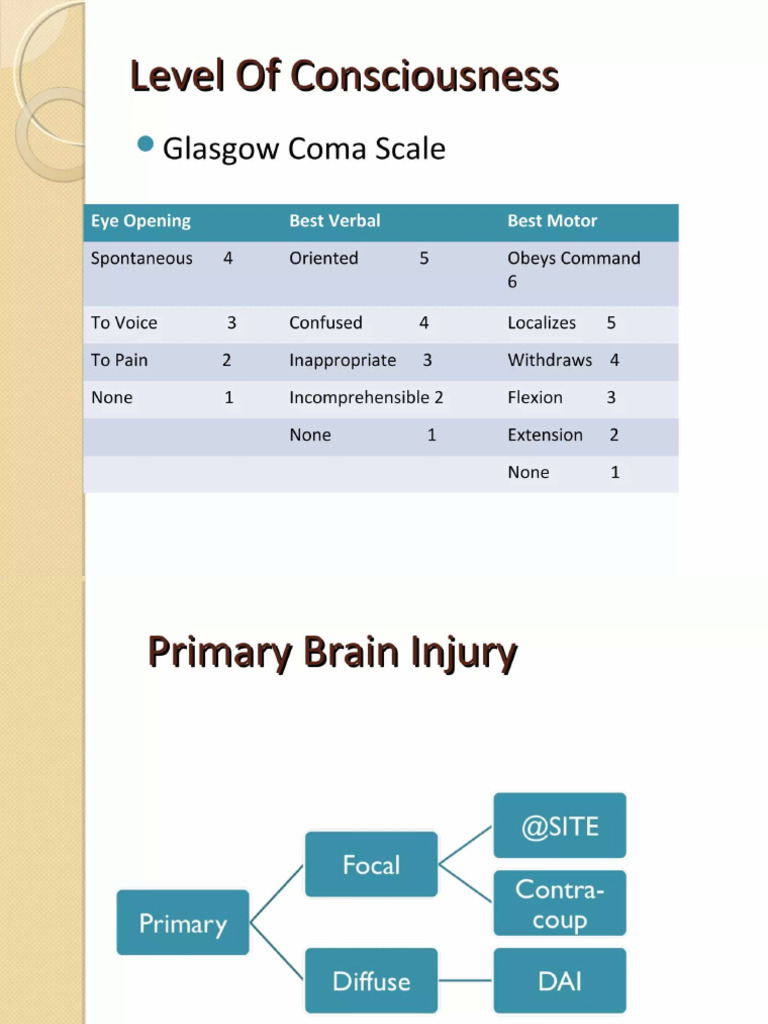 2d6cfa4e-2d27-498f-a16d-f95a7aae09e2 | PDF
