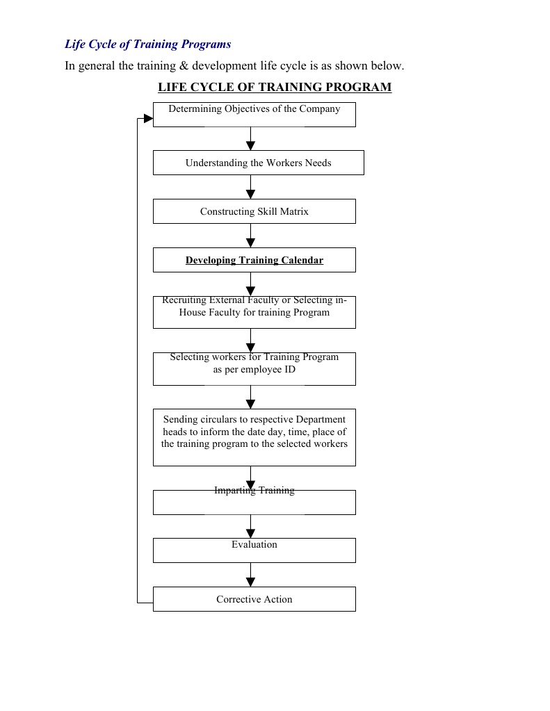Training Program Life Cycle Overview | PDF | Business