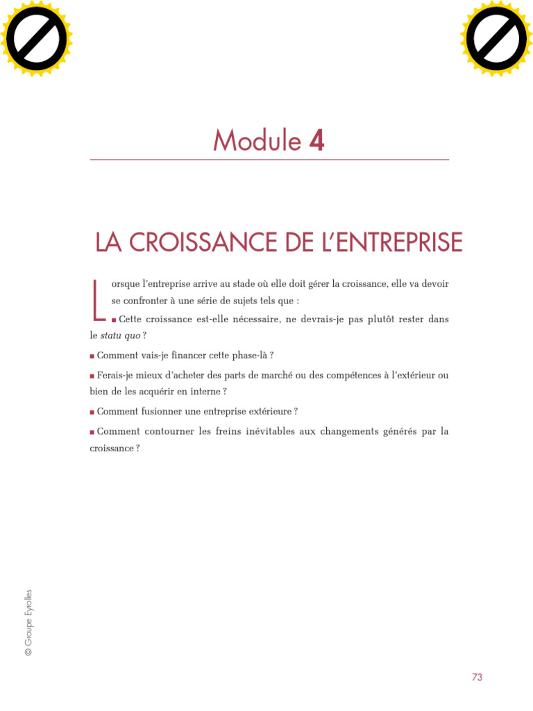 Options et défis de la croissance d'entreprise | PDF | Business