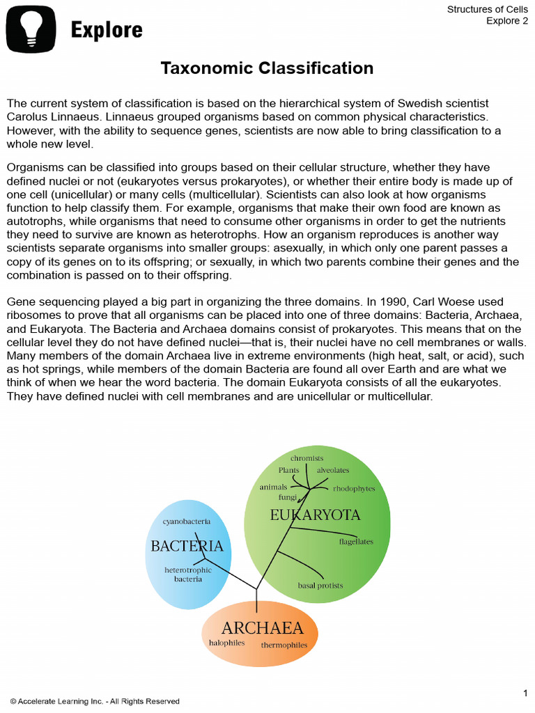 Taxonomic Classification of Organisms | PDF | Prokaryote | Eukaryotes