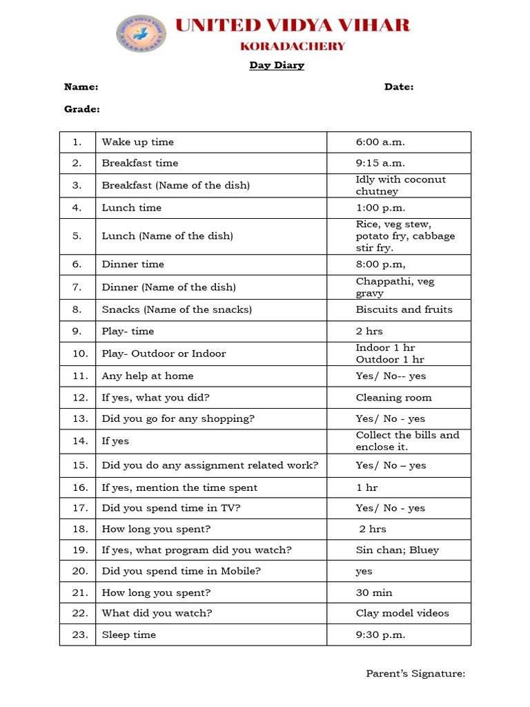 Daily Activity Diary Template | PDF