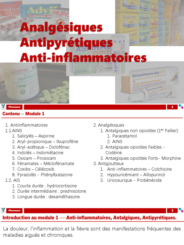 Guide sur les Analgésiques et Anti-inflammatoires | PDF | Anti ...