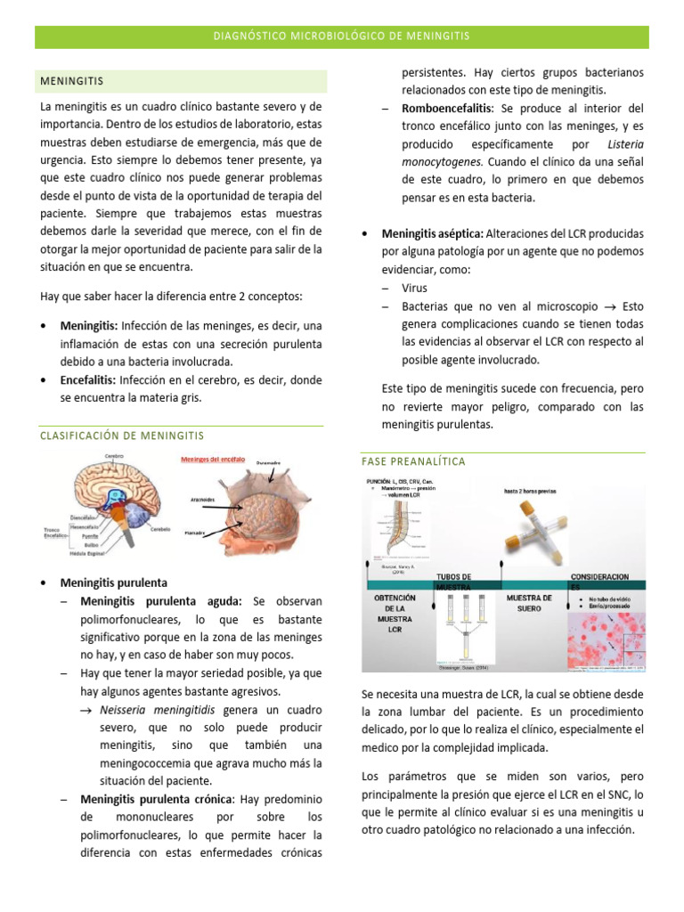 Diagnóstico de Meningitis: Análisis LCR | PDF | Meningitis | Las bacterias
