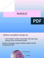 nukleus