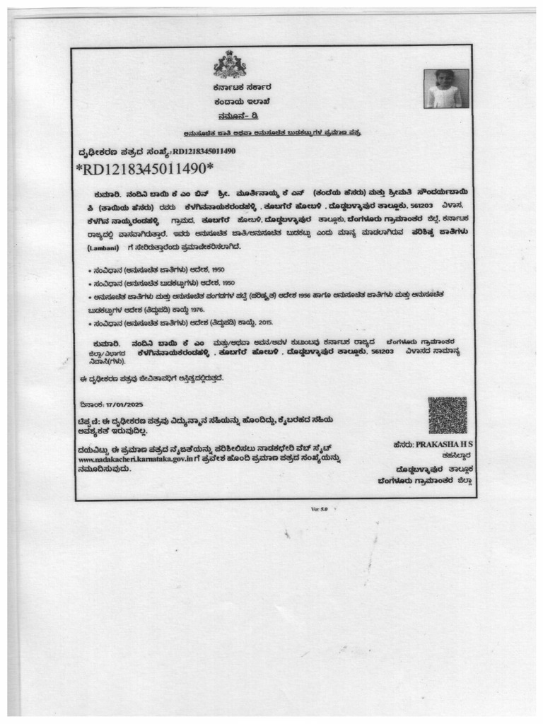 Nandini | PDF