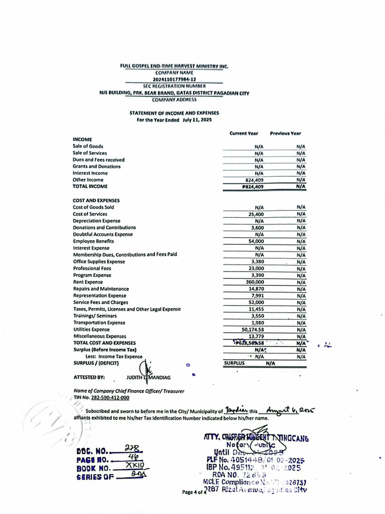 Financial Statement | PDF