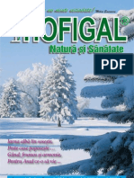 Revista Hofigal Nr 20