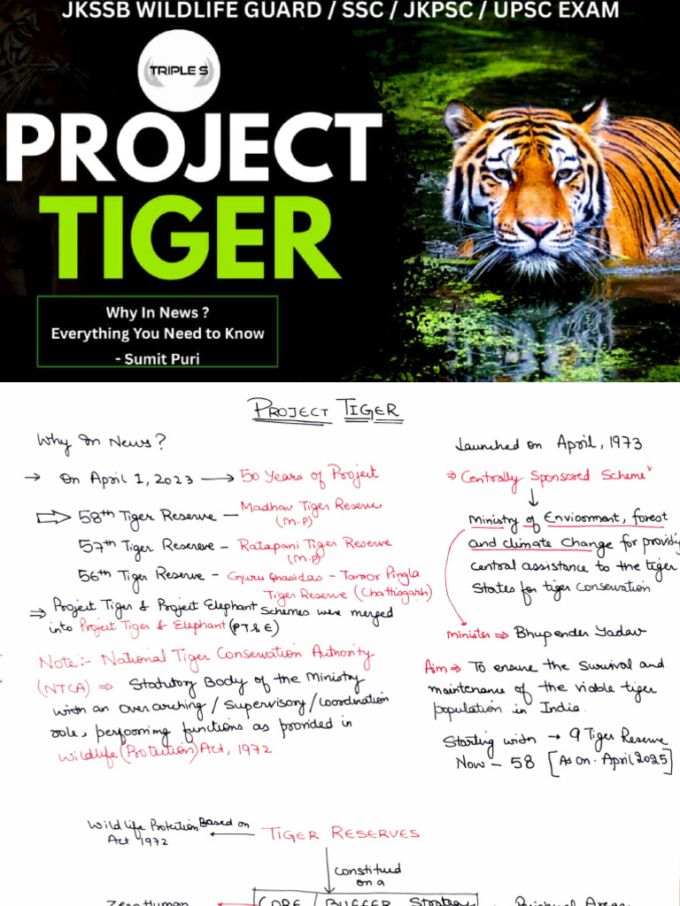 Project Tiger by Triple S - 66162333 - 2026 - 01 - 18 - 19 - 57 | PDF
