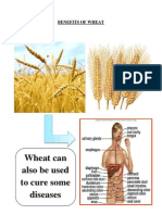 Benefits of Wheat