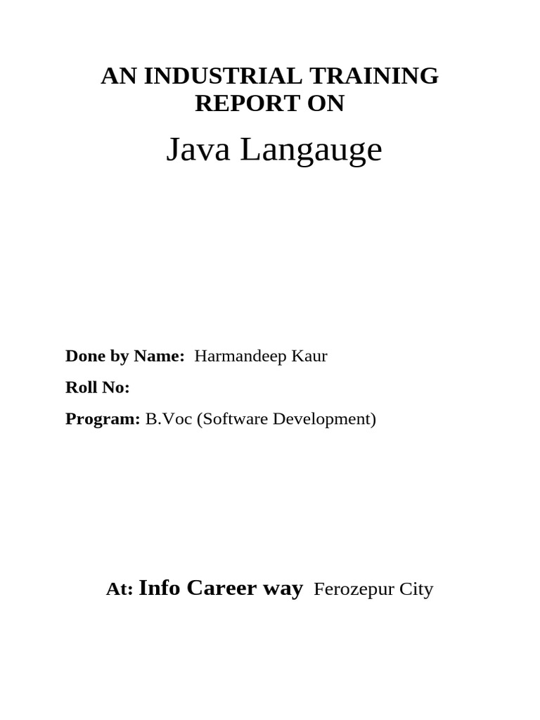 An Industrial Training Report on Software Development | PDF
