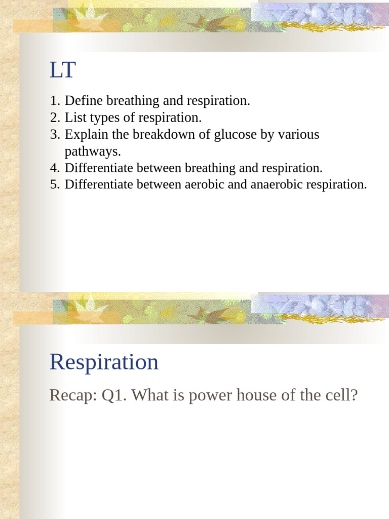 Respiration (3) | PDF | Respiratory System | Breathing