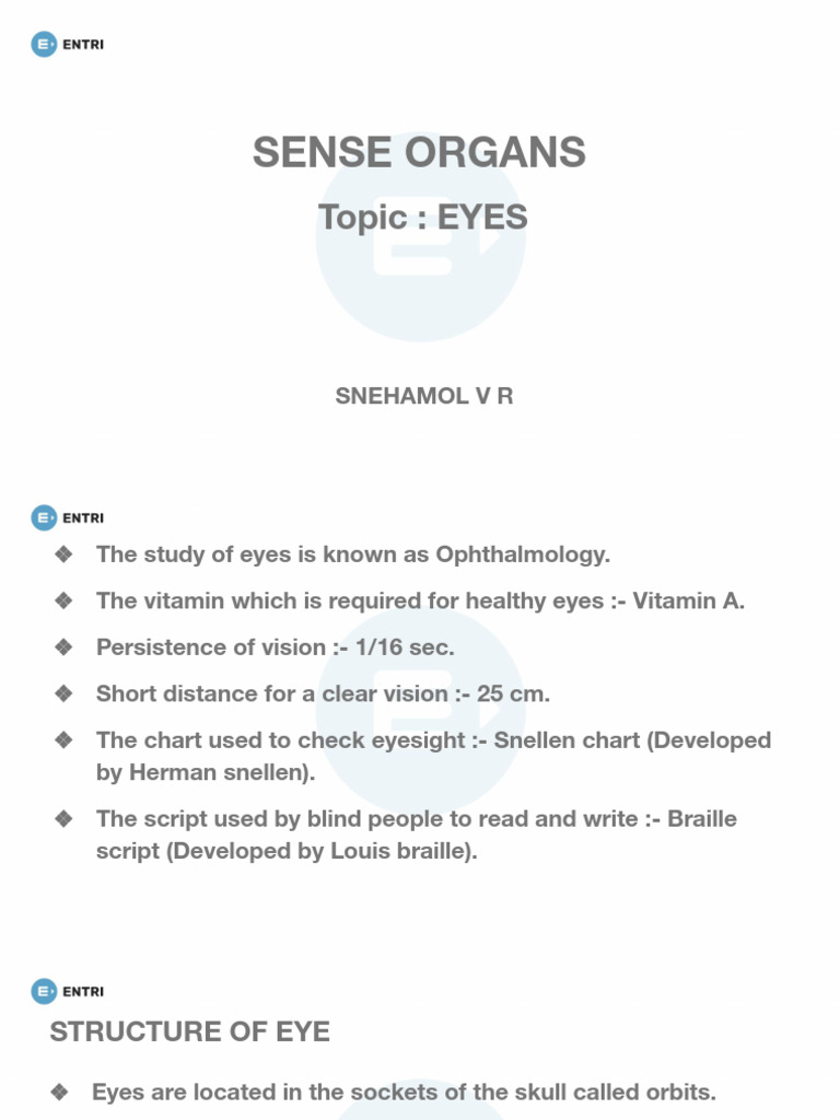 Sense Organs 01 | PDF