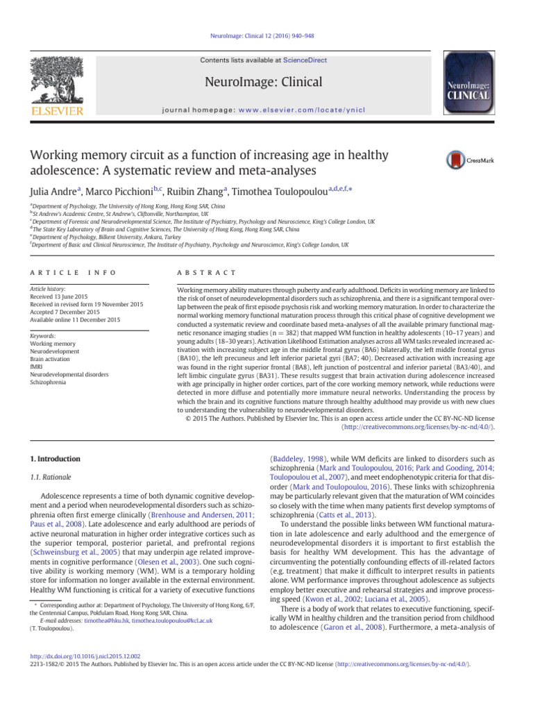 Working Memory Circuit as a Function of Increasing Age In | PDF ...