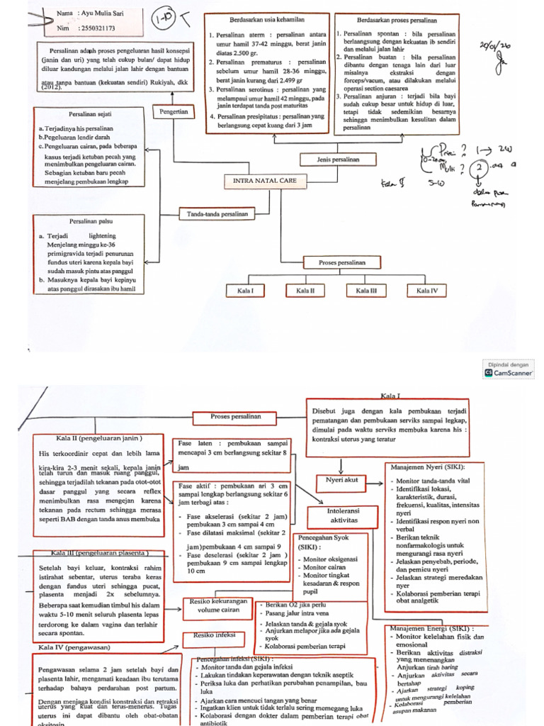 Woc Intranatal Ayu | PDF