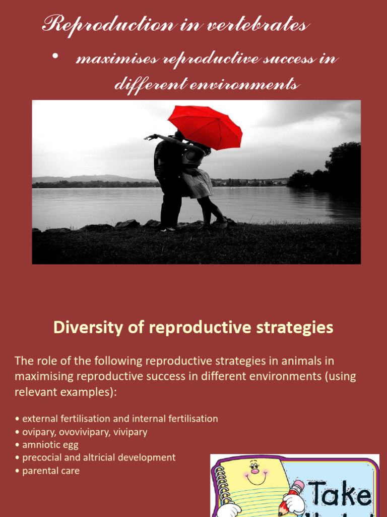 Vertebrate Reproductive Strategies Explained | PDF | Egg | Fertilisation