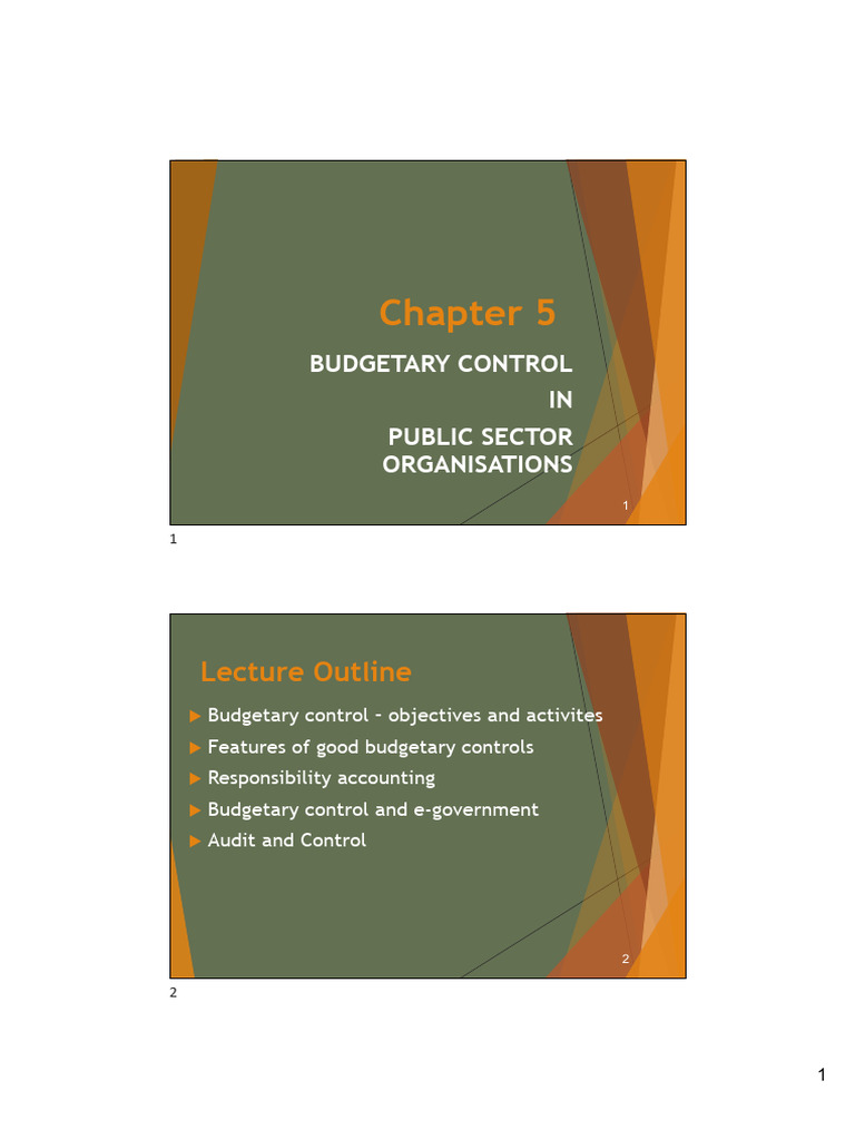 Budgetary Control in Public Sector Organizations | PDF | Audit ...