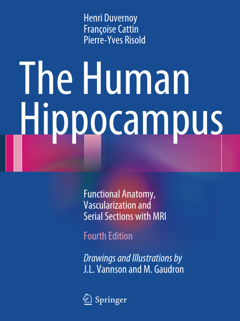 Human Hippocampus: Anatomy & MRI Insights | PDF | Hippocampus ...
