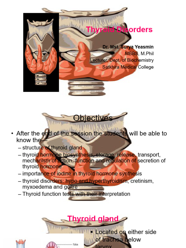Thyroid Disorders | PDF | Thyroid | Hyperthyroidism