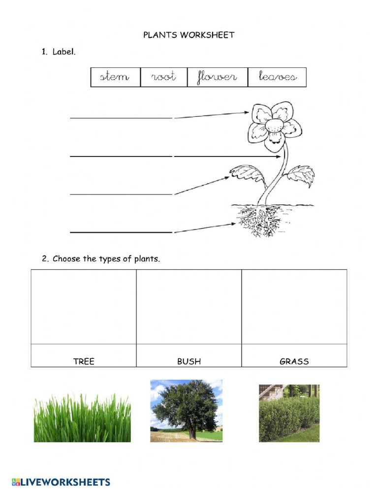 Worksheet 158457 | PDF